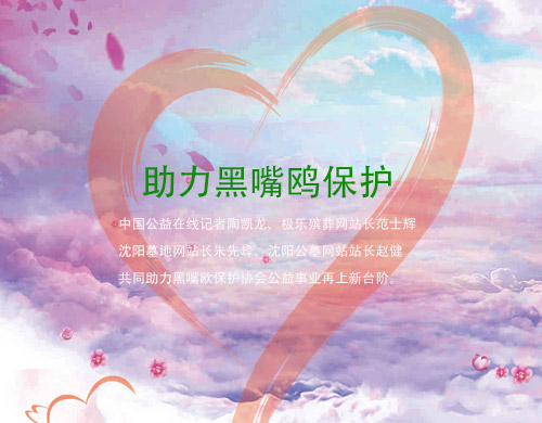 沈陽網站制作
